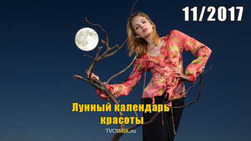 лунный маникюр в домашних условиях, подробная техника создания лунный маникюр в домашних условиях, подробная техника создания