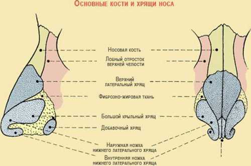 как не быть тряпкой с девушкой: основные ошибки парней